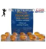 Virigen Andriol 40 mg 30 Capsules SCHERING-PLOUGH TR Virigen Andriol 40 mg 30 capsules by SCHERING-PLOUGH TR product packaging