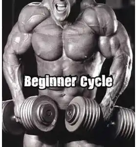 Beginner Steroid Cycle Beginner Steroid Cycle
