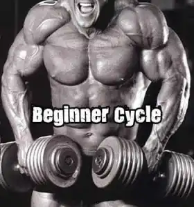 Beginner Steroid Cycle Beginner Steroid Cycle