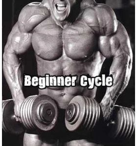 Beginner Steroid Cycle Beginner Steroid Cycle