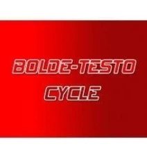 Bolde - Testo Cycle Bolde - Testo Cycle