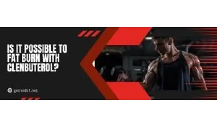 Is it possible to fat burn with Clenbuterol?