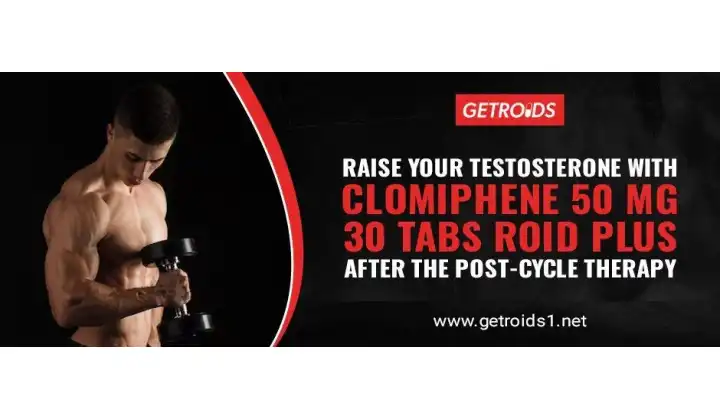 Raise Your Testosterone with Clomiphene 50 Mg 30 Tabs Roid Plus after The Post-Cycle Therapy