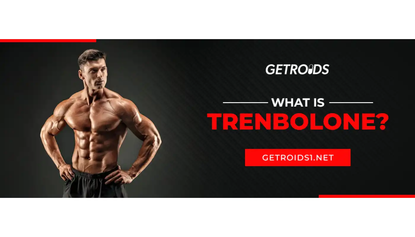 What is Trenbolone?