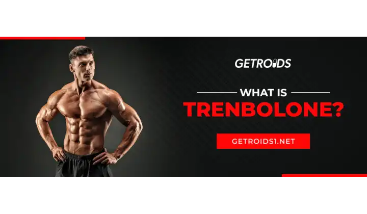What is Trenbolone?