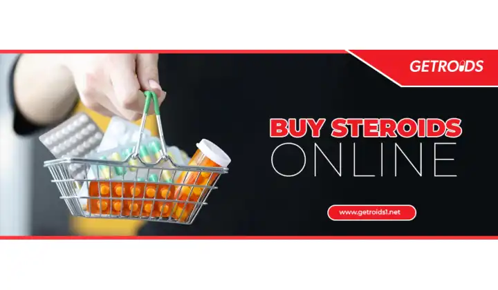 Buy Steroids Online for Your Safe Steroid Cycles