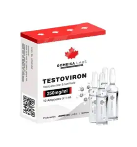 Testosterone Enanthate 250 Gomeisa Labs USA