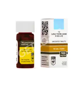T4 Levothyroxine Sodium 100 mcg Tablets - Hilma Biocare EU T4 Levothyroxine Sodium 100 mcg Tablets - Hilma Biocare EU