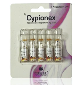 Cypionex 250 Kosher Pharma INT product packaging with 5 ampoules