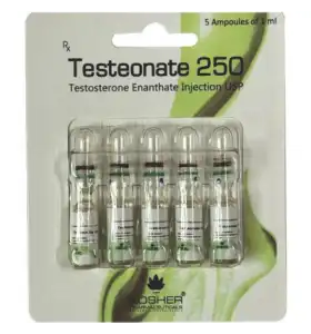 Testeonate 250 Kosher Pharma INT Testeonate 250 Kosher Pharma INT