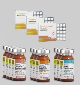 Beligas 12 weeks Competition Prep Stack Plus Anti Estrogen – Int Beligas 12 weeks Competition Prep Stack Plus Anti Estrogen – Int