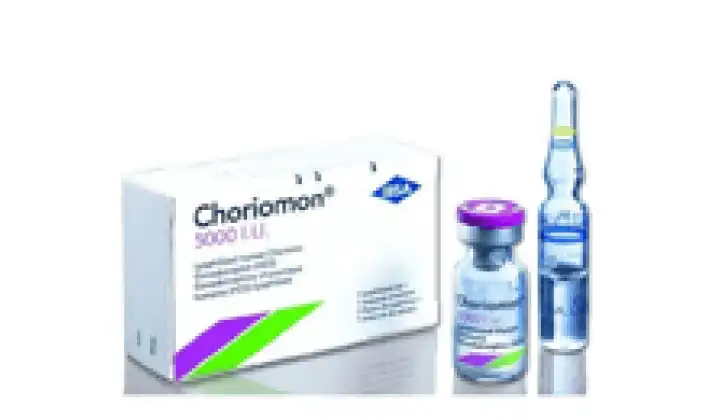 Make the consumption of HCG supplements and get rid of obesity swiftly