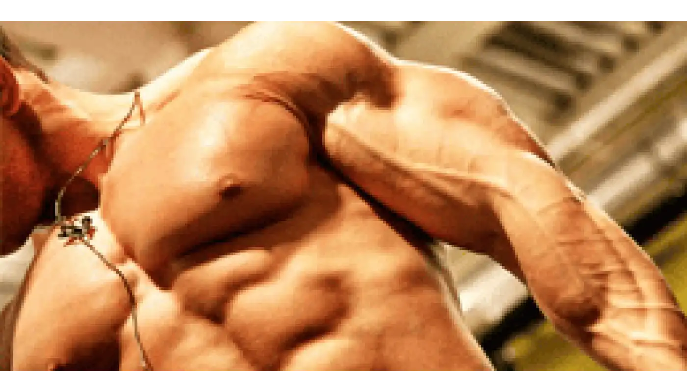 Everything that you should know about steroid cycles for beginners Everything that you should know about steroid cycles for beginners