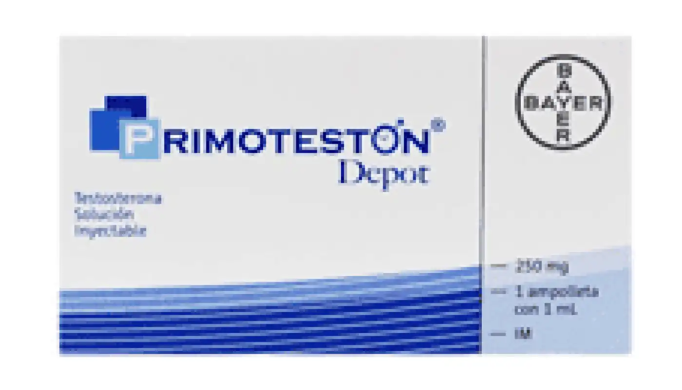 Everything about Primoteston that you want to know Everything about Primoteston that you want to know