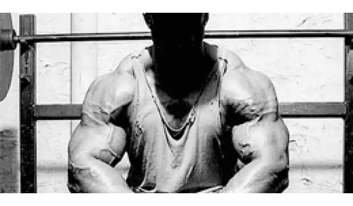 Offering you to gain your desired physical qualities rapidly