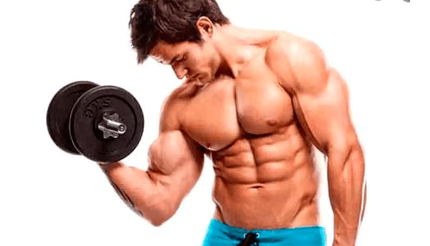10 Best Bodyweight Exercises Recommended for Building Muscles