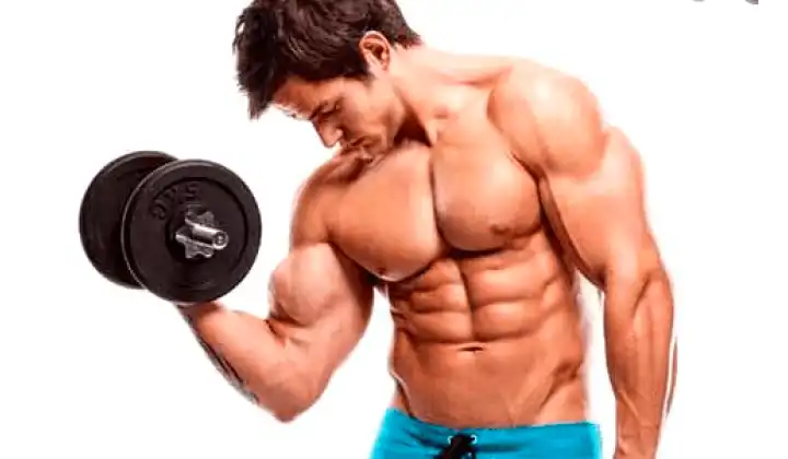 10 Best Bodyweight Exercises Recommended for Building Muscles