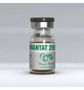 Enantat 250 mg/ml 10 ml vial by Dragon Pharma packaging view