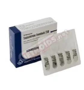 Testosterone Enanthate 1 amp 250 mg Aburaihan Testosterone Enanthate 1 amp 250 mg Aburaihan
