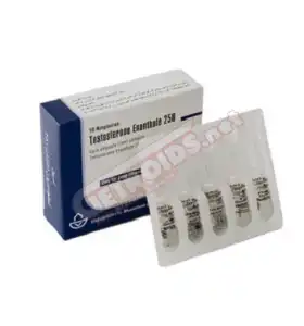 Testosterone Enanthate 1 Amp 250 mg Aburaihan Testosterone Enanthate 1 Amp 250 mg Aburaihan