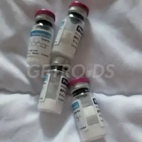 Bob Wijntjes review image
