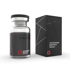 Testosterone Enanthate 250 mg 10 ml Xeno Labs US