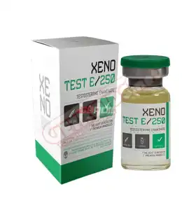 Testosterone Enanthate 250 mg/ml 10 ml - XENO Labs