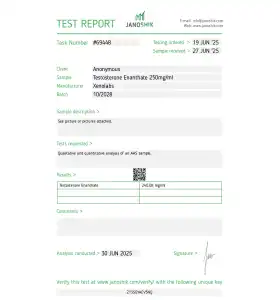Testosterone Enanthate 250 mg 10 ml Xeno Labs US