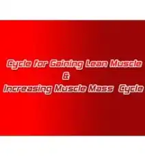 Cycle for Gaining Lean Muscle & Increasing Muscle Mass