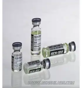 Testo E (Testo Enanthate) 500mg 2ml Gen-Shi Labs Testo E Testo Enanthate 500mg 2ml vial by Gen-Shi Labs