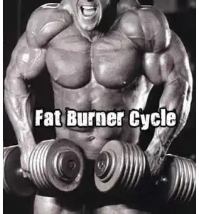 Fat Burner Cycle Fat Burner Cycle