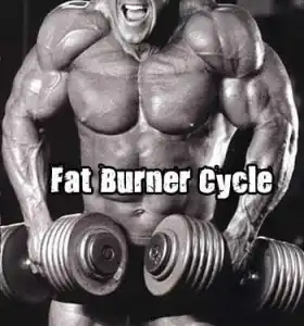 Fat Burner Cycle Fat Burner Cycle