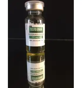 Testosterone Enanthate 250 mg/ml 10 ml vial Atlas Labs Testosterone Enanthate 250 mg per ml 10 ml vial by Atlas Labs product image