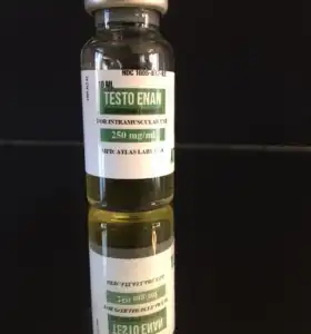 Testosterone Enanthate 250 mg/ml 10 ml Vial Atlas Labs